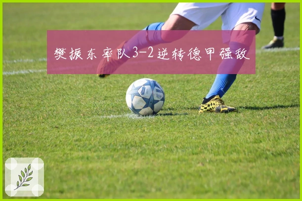 樊振东率队3-2逆转德甲强敌